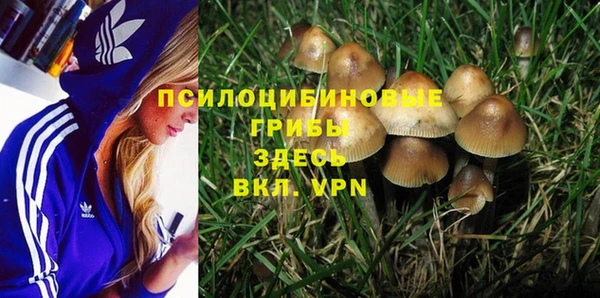 круглые Абаза